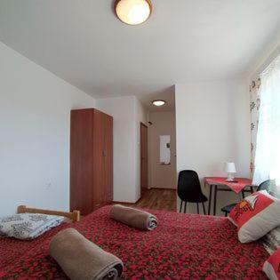 "U Skowronkow" Bed and Breakfast Bukowina Tatrzańska Eksteriør billede