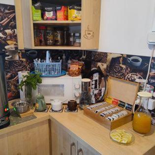 "U Skowronkow" Bed and Breakfast Bukowina Tatrzańska Eksteriør billede